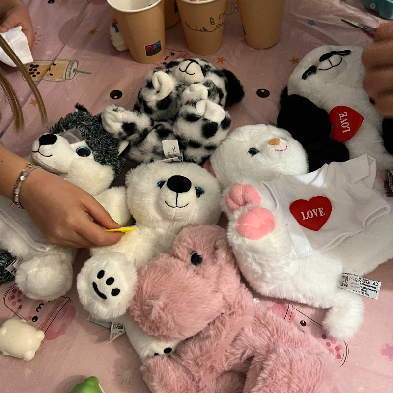 Personnalisation de peluche